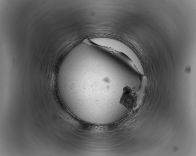 X0000099420077200805301416