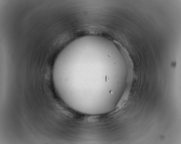 X0000099420078200805301416