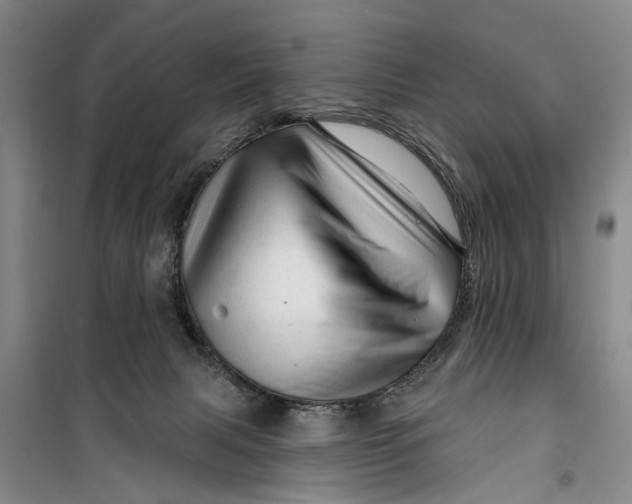 X0000099420079200805301416