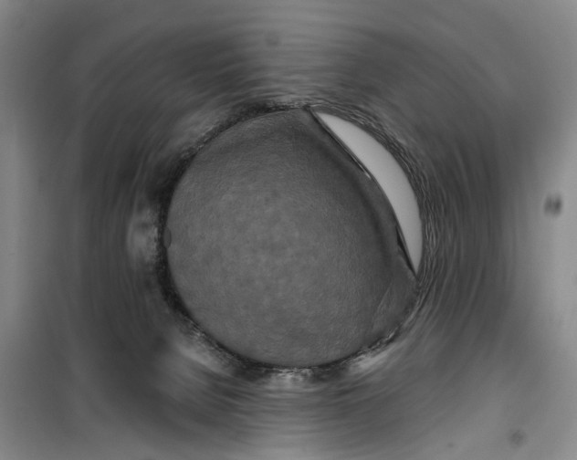 X0000099420080200805301416