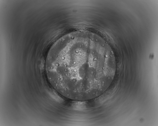 X0000099420081200805301416