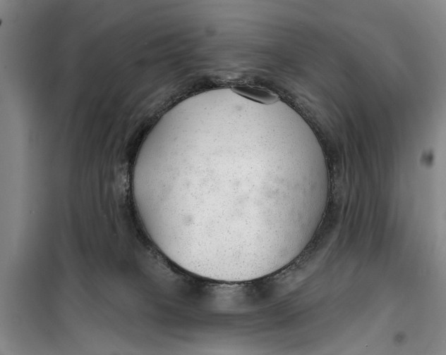 X0000099420085200805301416