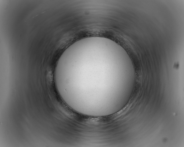 X0000099420086200805301416