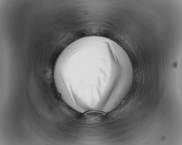 X0000099420087200805301416