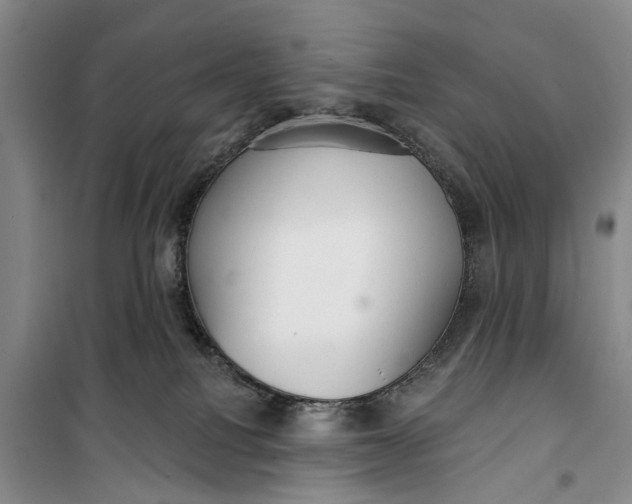 X0000099420088200805301416