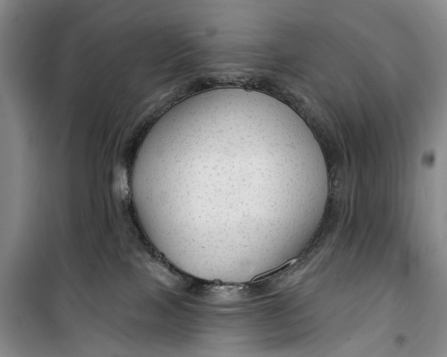 X0000099420089200805301416