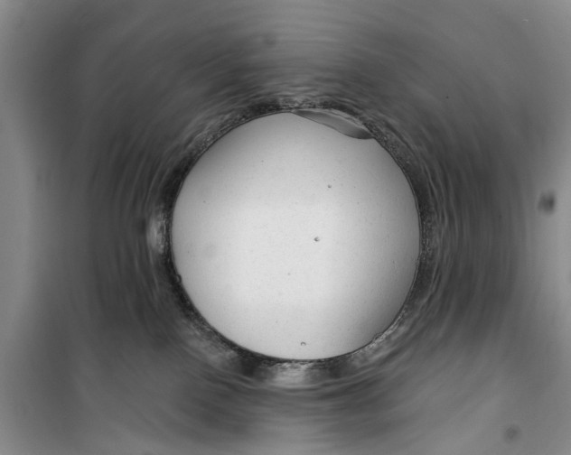 X0000099420090200805301416