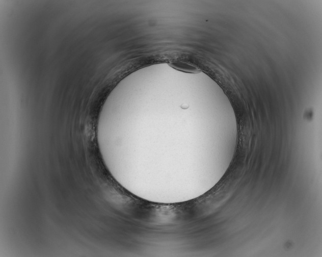 X0000099420091200805301416