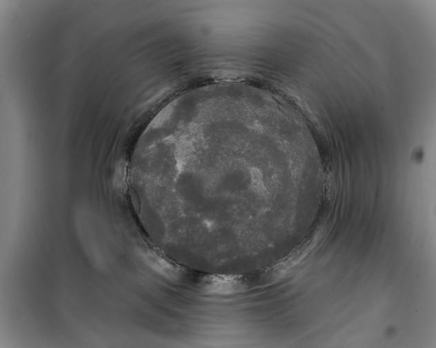 X0000099420093200805301416