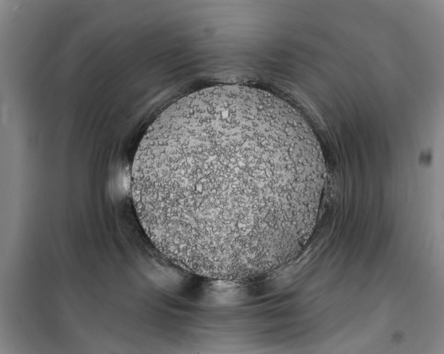 X0000099420095200805301416