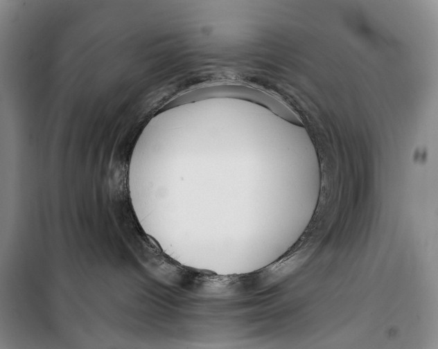 X0000099420096200805301416