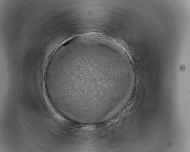 X0000099420097200805301416