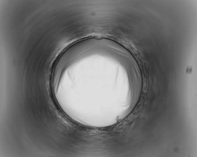 X0000099420098200805301416