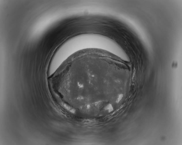 X0000099420099200805301416