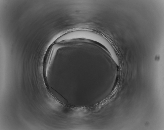 X0000099420100200805301416