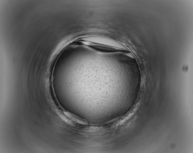 X0000099420101200805301416