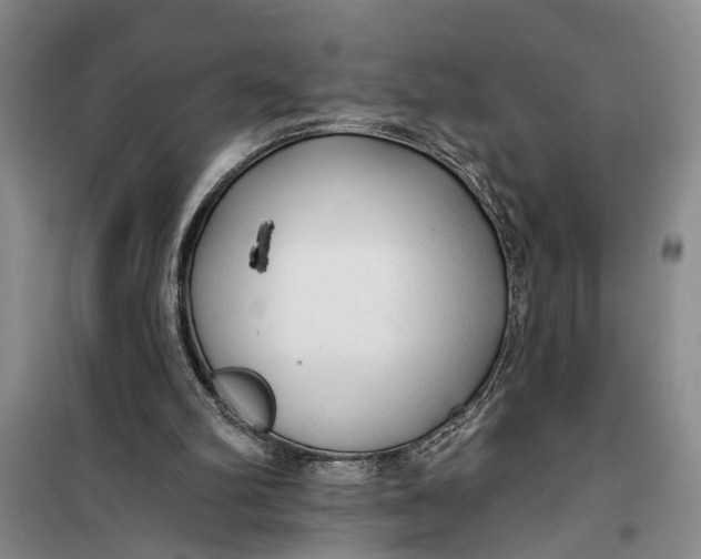 X0000099420102200805301416