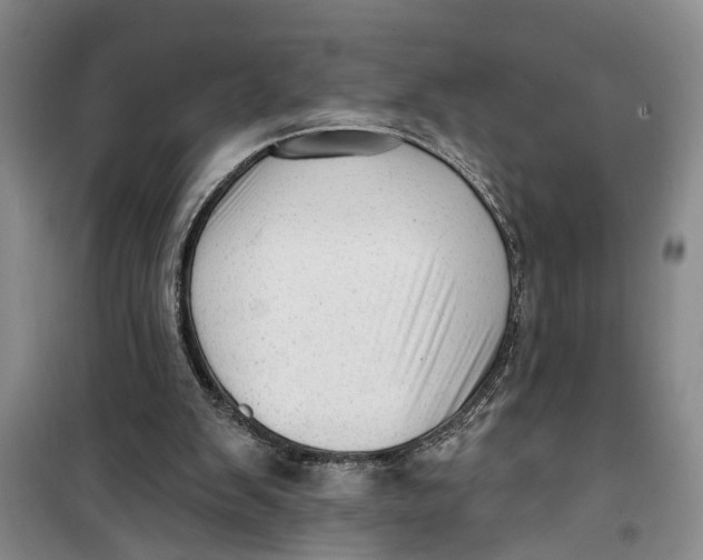 X0000099420103200805301416