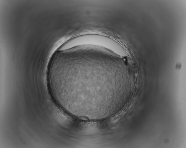 X0000099420104200805301416