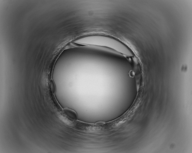 X0000099420105200805301416