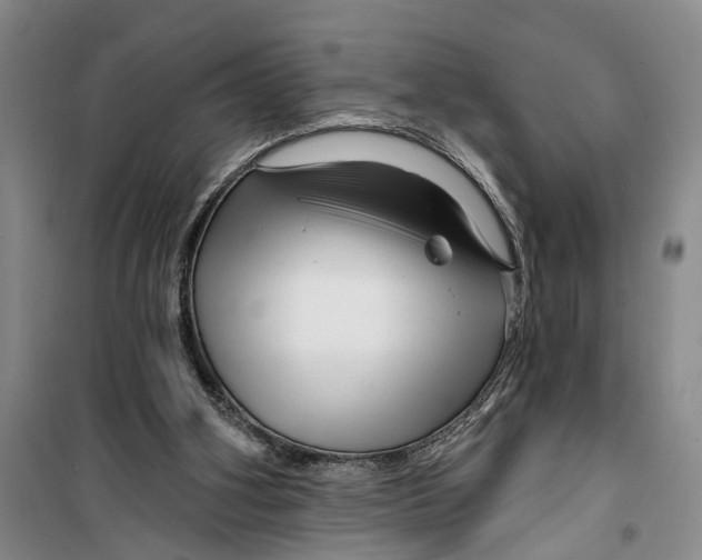 X0000099420106200805301416