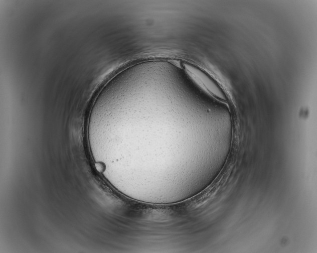 X0000099420107200805301415