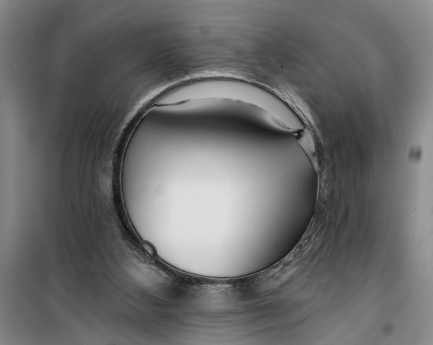 X0000099420108200805301415