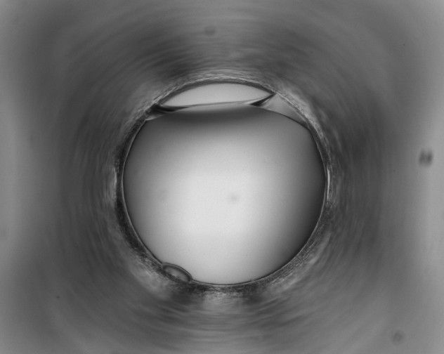 X0000099420109200805301415