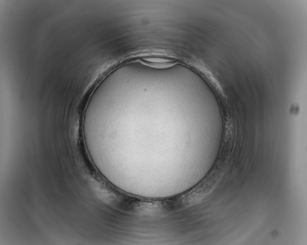 X0000099420110200805301415