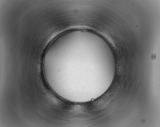 X0000099420111200805301415