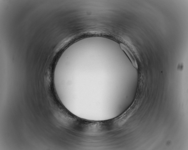 X0000099420116200805301415