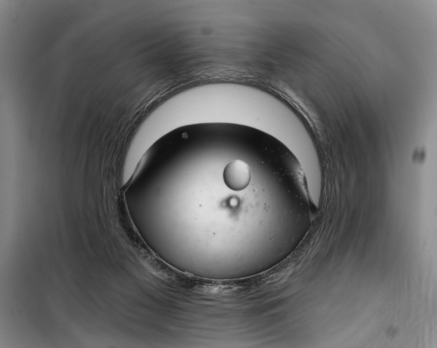 X0000099420117200805301415