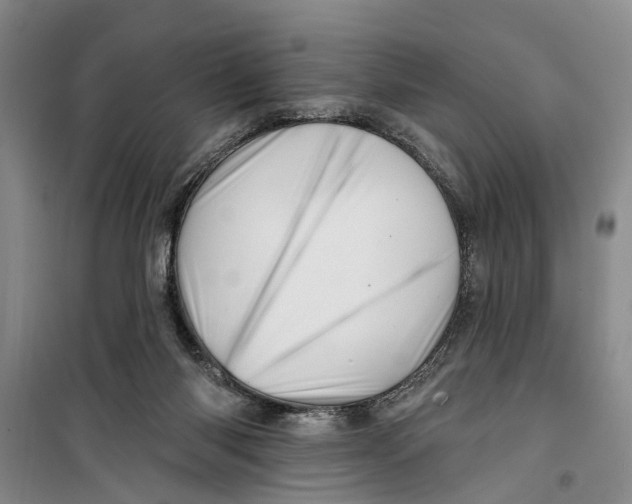 X0000099420118200805301415