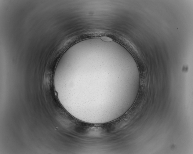 X0000099420119200805301415