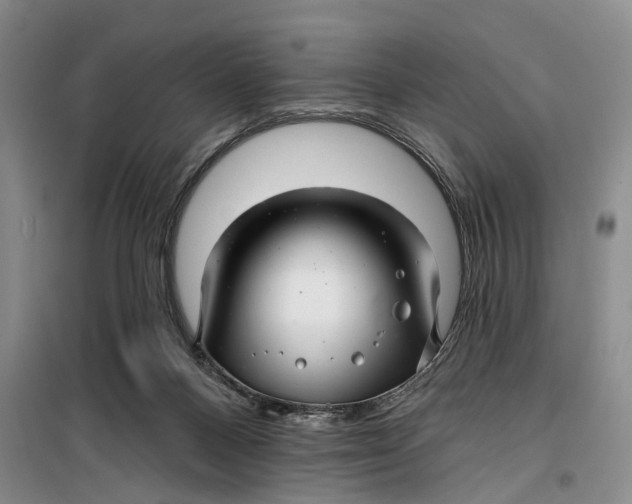 X0000099420120200805301415