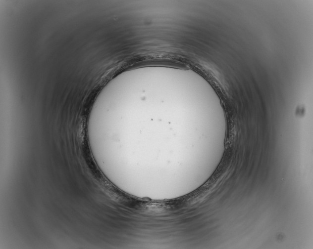 X0000099420121200805301415