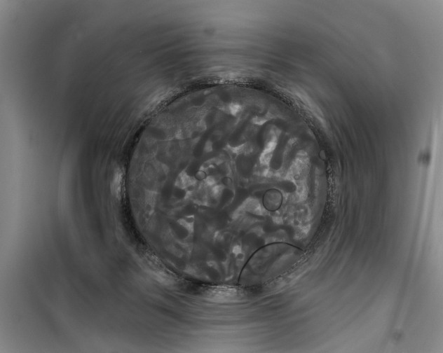 X0000099420123200805301415