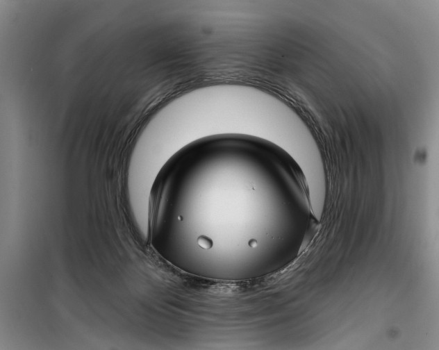 X0000099420124200805301415