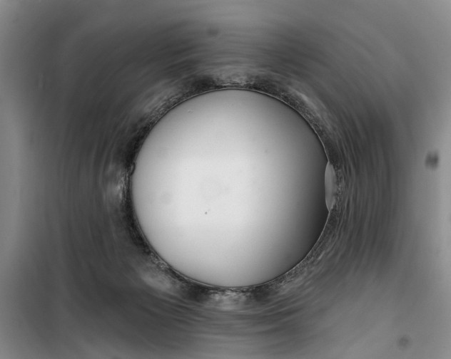 X0000099420125200805301415