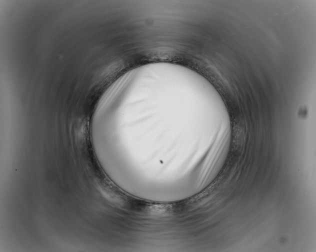 X0000099420126200805301415