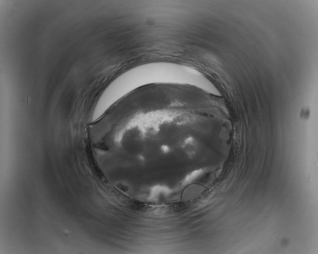 X0000099420127200805301415