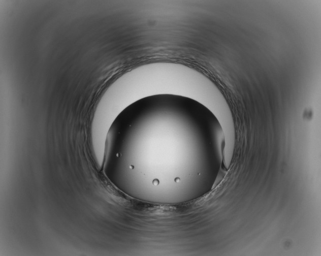 X0000099420128200805301415