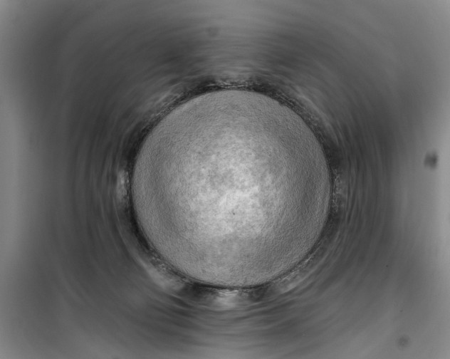 X0000099420130200805301415