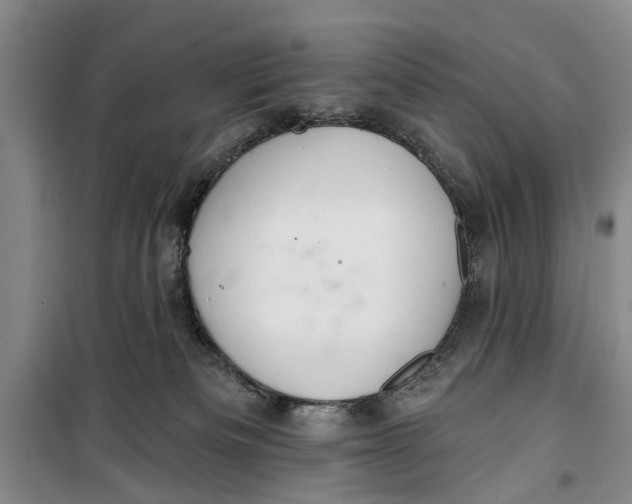 X0000099420133200805301415