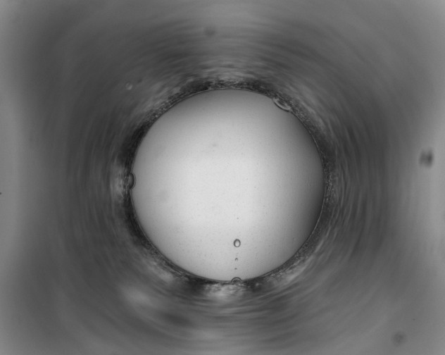 X0000099420135200805301415