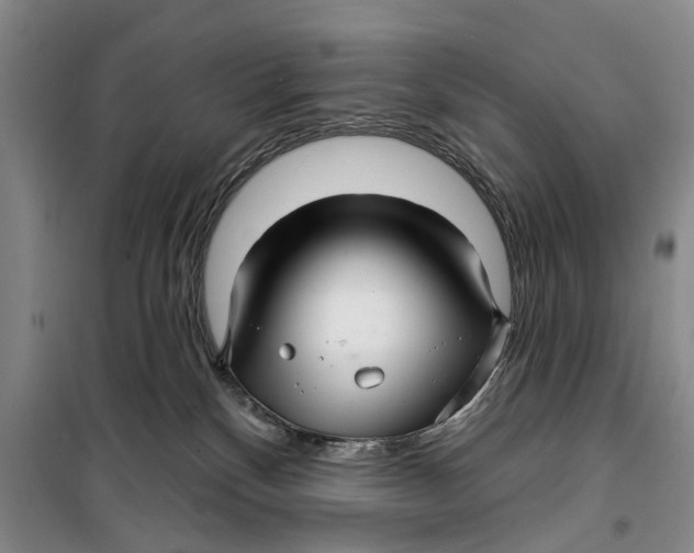 X0000099420136200805301415