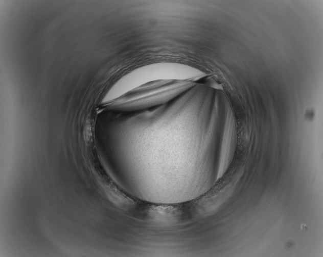 X0000099420137200805301415