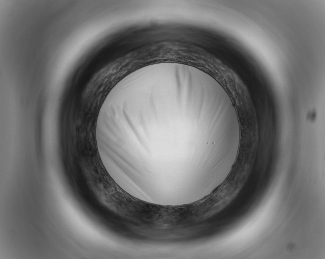 X0000099420142200805301415