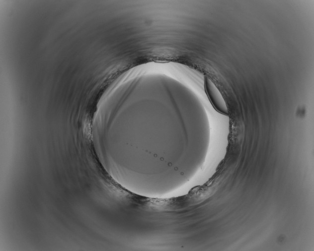 X0000099420143200805301415