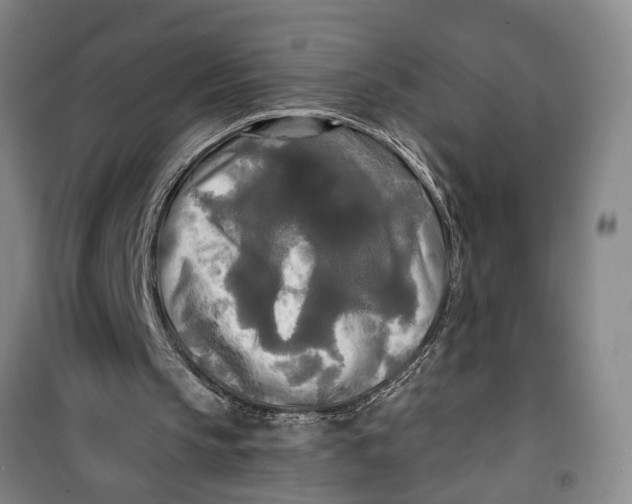 X0000099420145200805301414